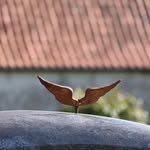 Michael Seim - @seim_michael - Instagram
