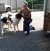 Michael Seipel - Facebook