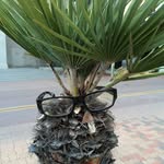 Michael Seitz - @michaelseitz - Instagram