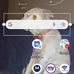 Michael Sellner - Facebook
