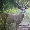 Michael Sellner - @michael.sellner6 - TikTok