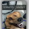 michael_selzer - @michael_selzer - TikTok