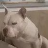 Michael Sement - @michael.sement - TikTok