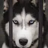 Michael seminara - @michaelseminara2 - TikTok