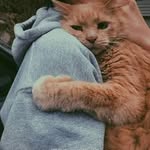 Ŝëmőñ Mäĝďý Mićĥãël - @michael.semon - Instagram