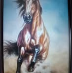 Michael Sen - Facebook