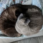 Michael Senkovich - @michaelsenkovich - Instagram