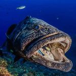 Michael Sequeira - @michaelsequeirapadilla - Instagram