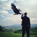 Michael Sera - @michael__seraph - Instagram