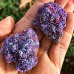 Michael Sessions - @mic_sessions - Instagram