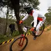 Michael Shallcross - @michaelshallcross - TikTok