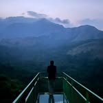 Michael Shalom - @michael_j_shalom - Instagram