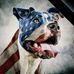 Mike Sheffer - Facebook