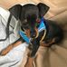 Michael Shewmaker - Facebook