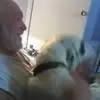 michaelshewmaker8 - @michael.shewmaker1 - TikTok