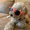 Michael Shi - @the.michaelshi - TikTok