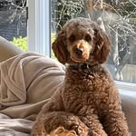 Michael Shiffman - @shiffman2 - Instagram