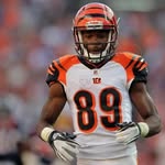 michael shinkle - @bengalsfan65755 - Instagram