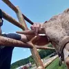 michaelshinkle - @lets_go_places_together - TikTok