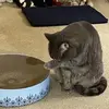 Michael J Shinnick - @michael.j.shinnic - TikTok