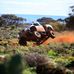 Michael Shipton - Facebook