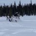 Michael Shipton Jr. - Facebook