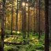 Micheal Shipton - Facebook