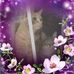 Michael Shock - Facebook