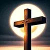 Michael Shohdy - @michael.shohdy2 - TikTok