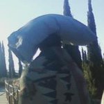 Michael Shuffer - @michaelshuffer - Instagram