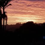 Michael Shute - @michaelshute - Instagram