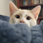 Michael - @michaelsickles99 - Instagram