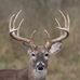 Michael F Siconolfi - Facebook