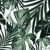 Michael Shipsides - @michaelshipsides - TikTok