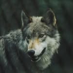 Michael Sides - @michael.sides.940 - Instagram