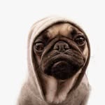Michael Sidler - @michael.sidler - Instagram