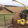 michaelsiefken - @michaelsiefken - TikTok
