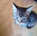 Michel Siek - Facebook