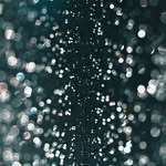 Michael silbert - @diamond_crypto_trade.co - Instagram