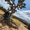 michael silver - @silver_mike01 - TikTok