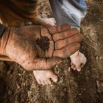 Michael Silver - @earthtemplegardens - Instagram