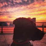 Michael Silverman - @masilverman - Instagram