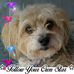 Michael Silverman - Facebook