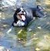 Michael Simington - Facebook