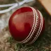 Michael simmers - @michael.simmers0 - TikTok