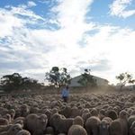 Michael Simons - @michaelandrewsimons - Instagram