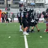 Michael_Simpson_ - @michael_simpson_ - TikTok