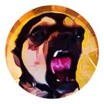 Michael Sinay - @mjsinay - Instagram