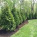 Michael Sinisi &amp; Son Landscaping Inc. - Facebook