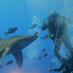 Michael Sirota - @msirota1965 - Instagram